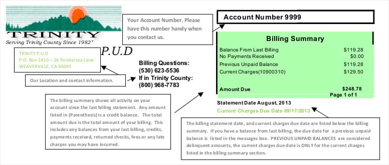 Preview of Sample Bill PDF