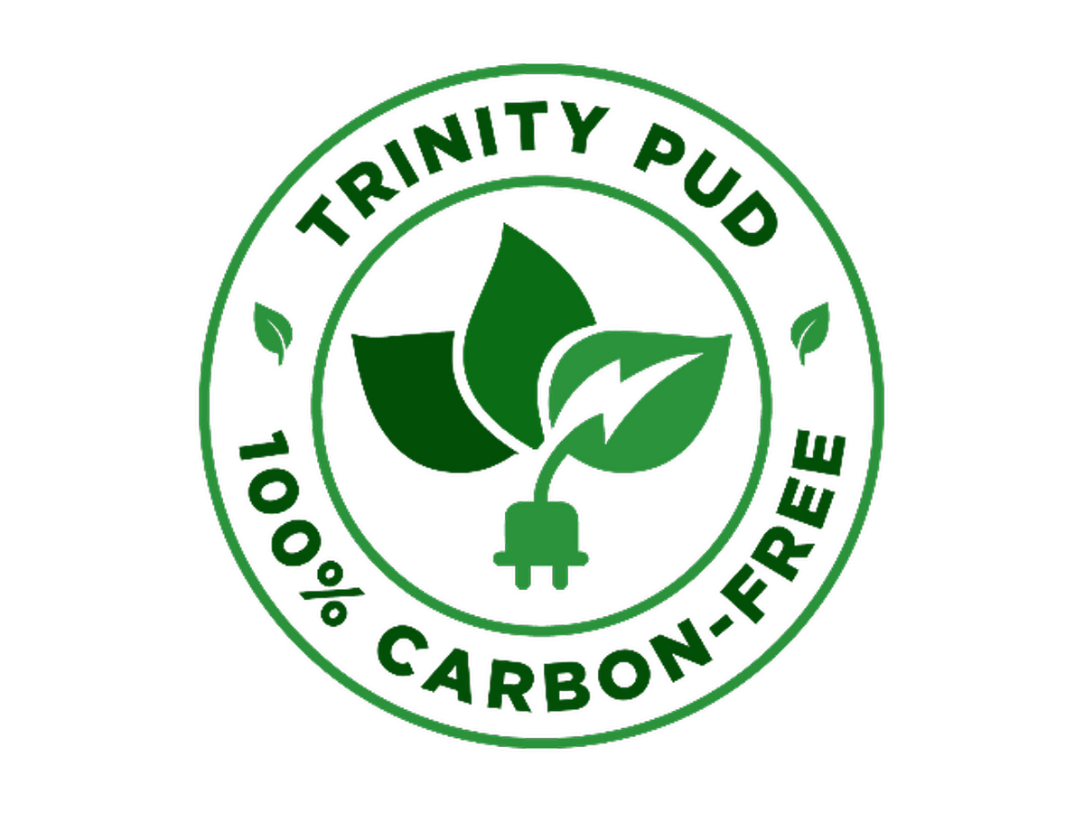 100% Carbon Free