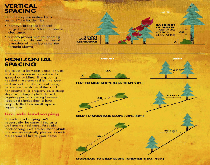 Diagram of proper vertical and horizontal spacing for fire-safe landscaping