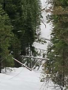 Tree Falling on Power Lines