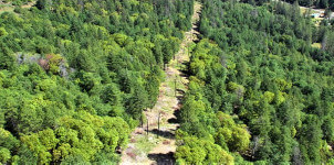 Powerline path with trees cleared and trimmed around it to minimize wildfire risks