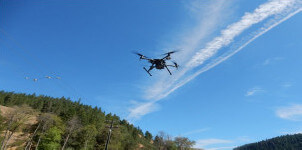 Small drone scouting for tree trimming opportunities